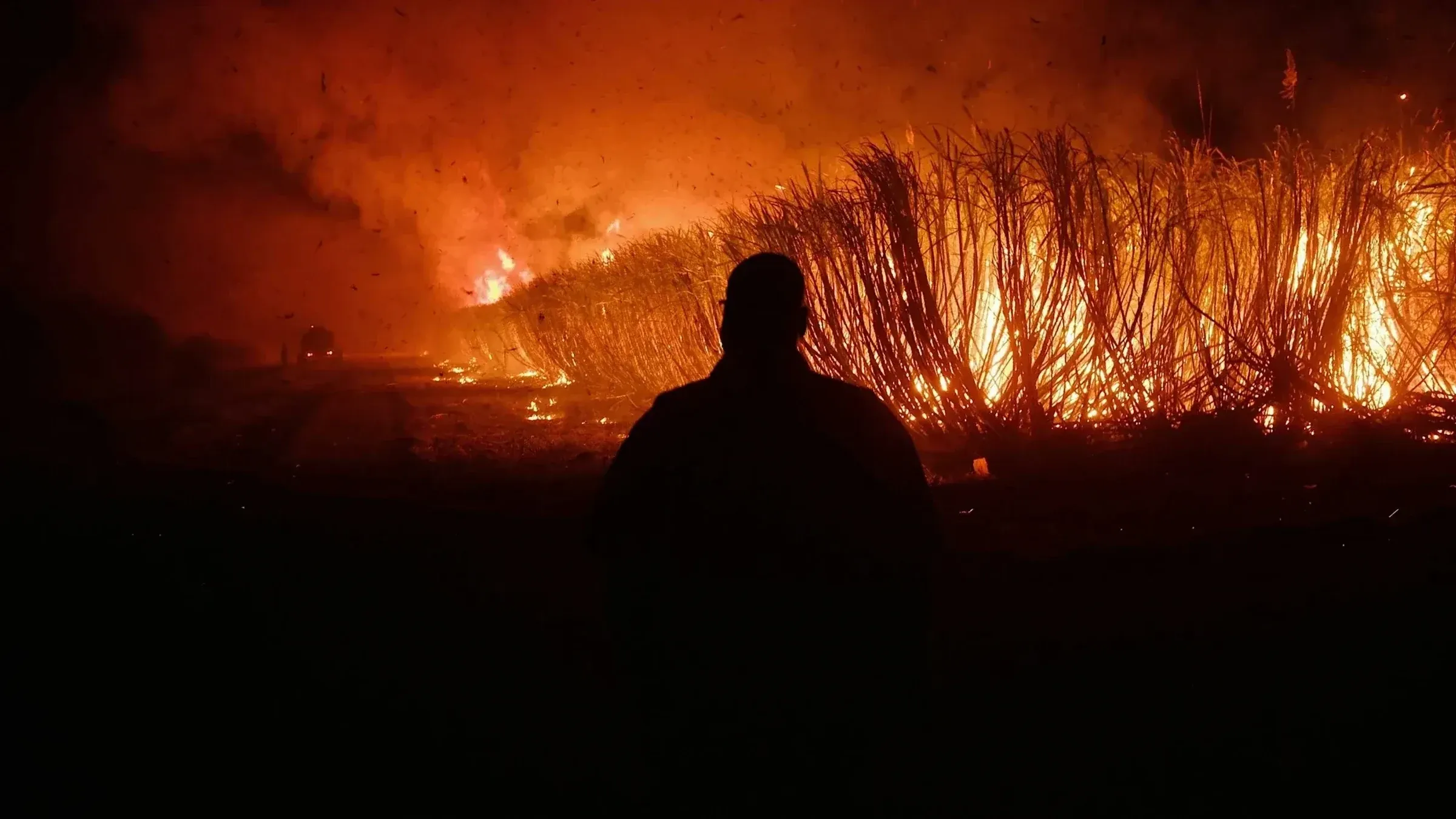 Silhouette of a person watching a wildfire burning through tall vegetation at night
