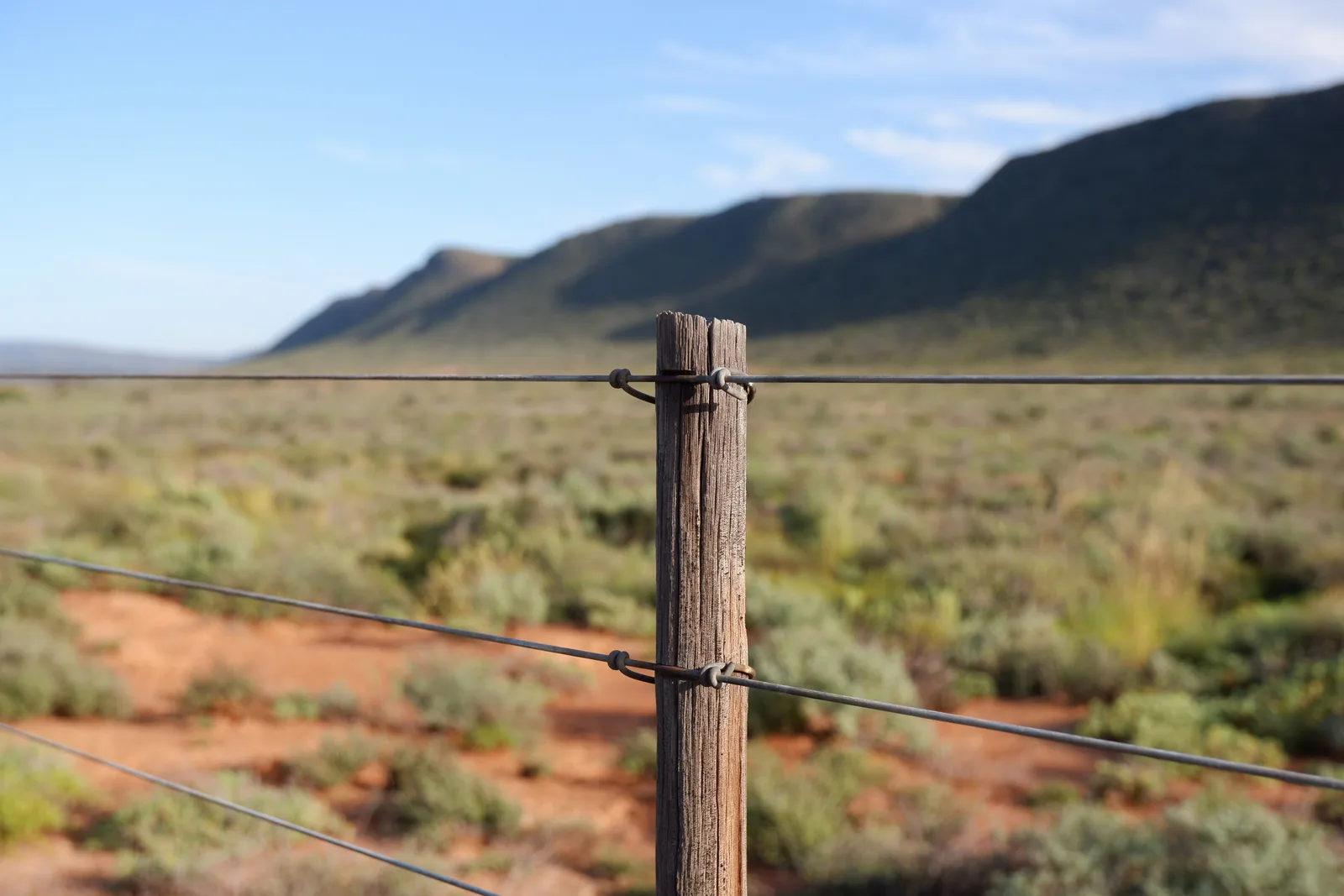 Electric fence stretching across a remote landscape without cellular coverage, suited for LoRaWAN monitoring